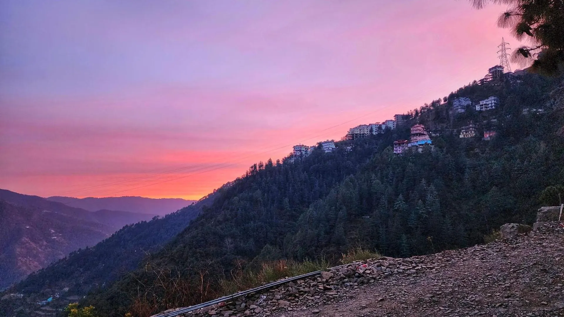 Homestay Royal Cedar Bnb Simla