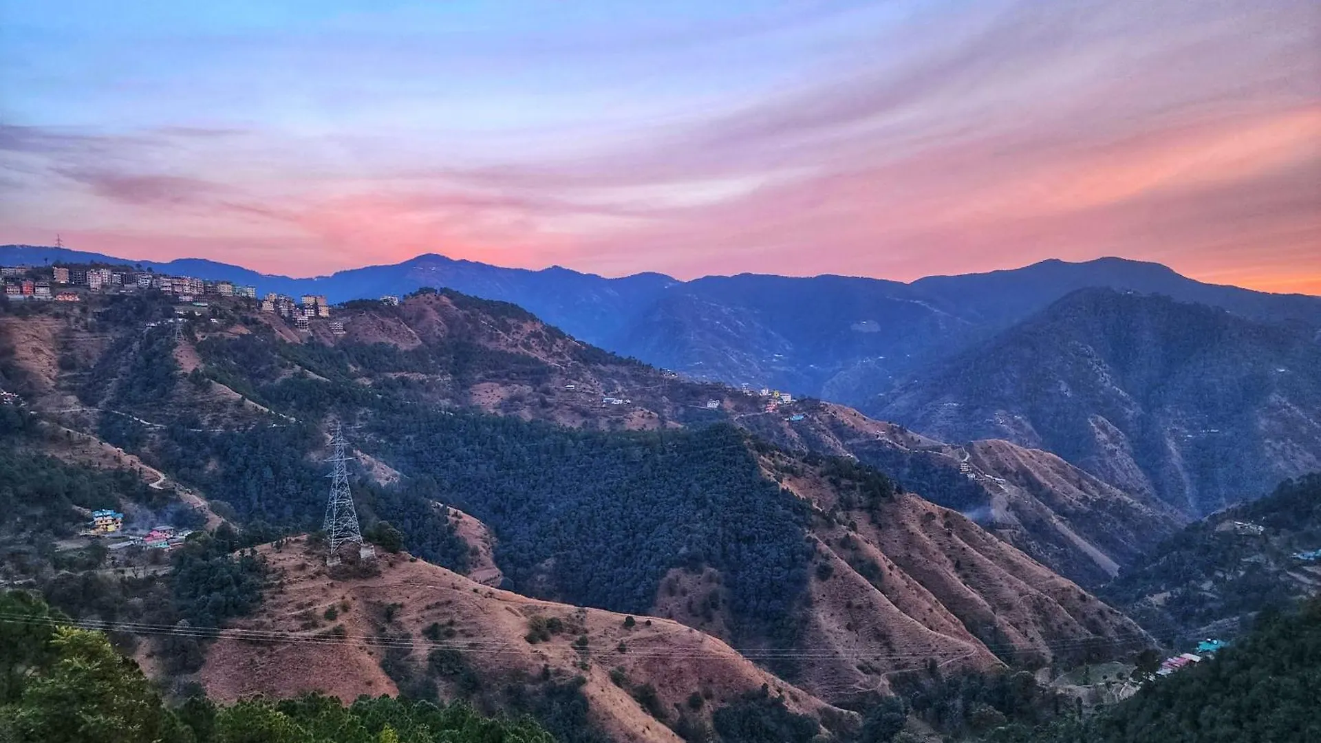 Homestay Royal Cedar Bnb Simla
