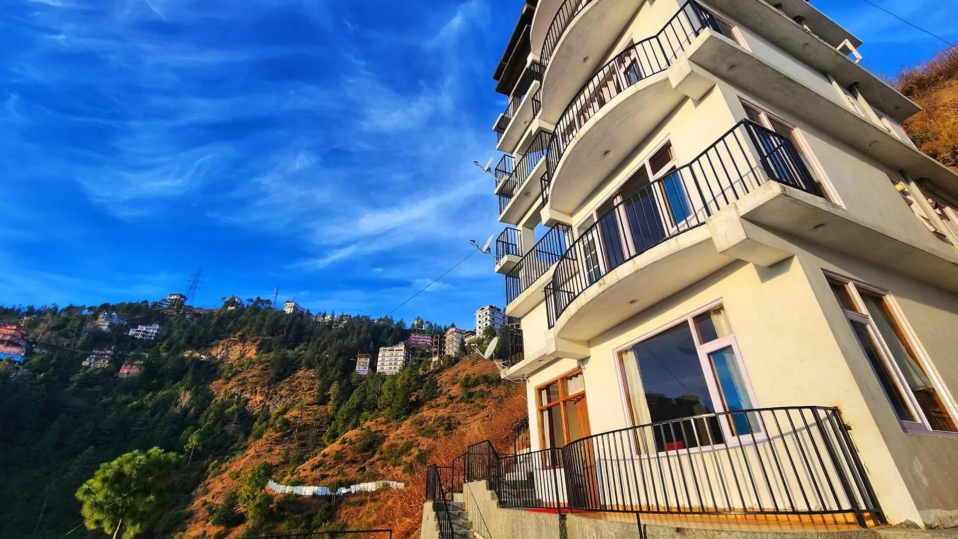Royal Cedar Bnb Simla Homestay Shimla