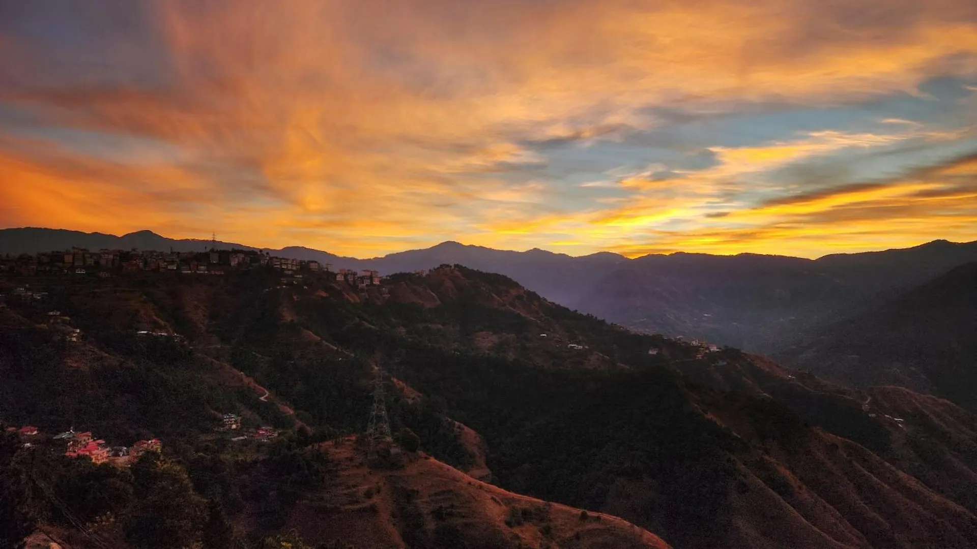 Royal Cedar Bnb Simla India