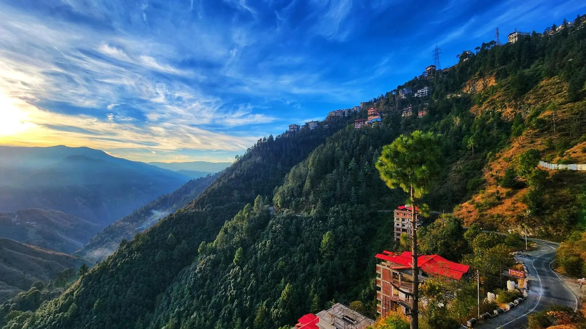 Homestay Royal Cedar Bnb Simla