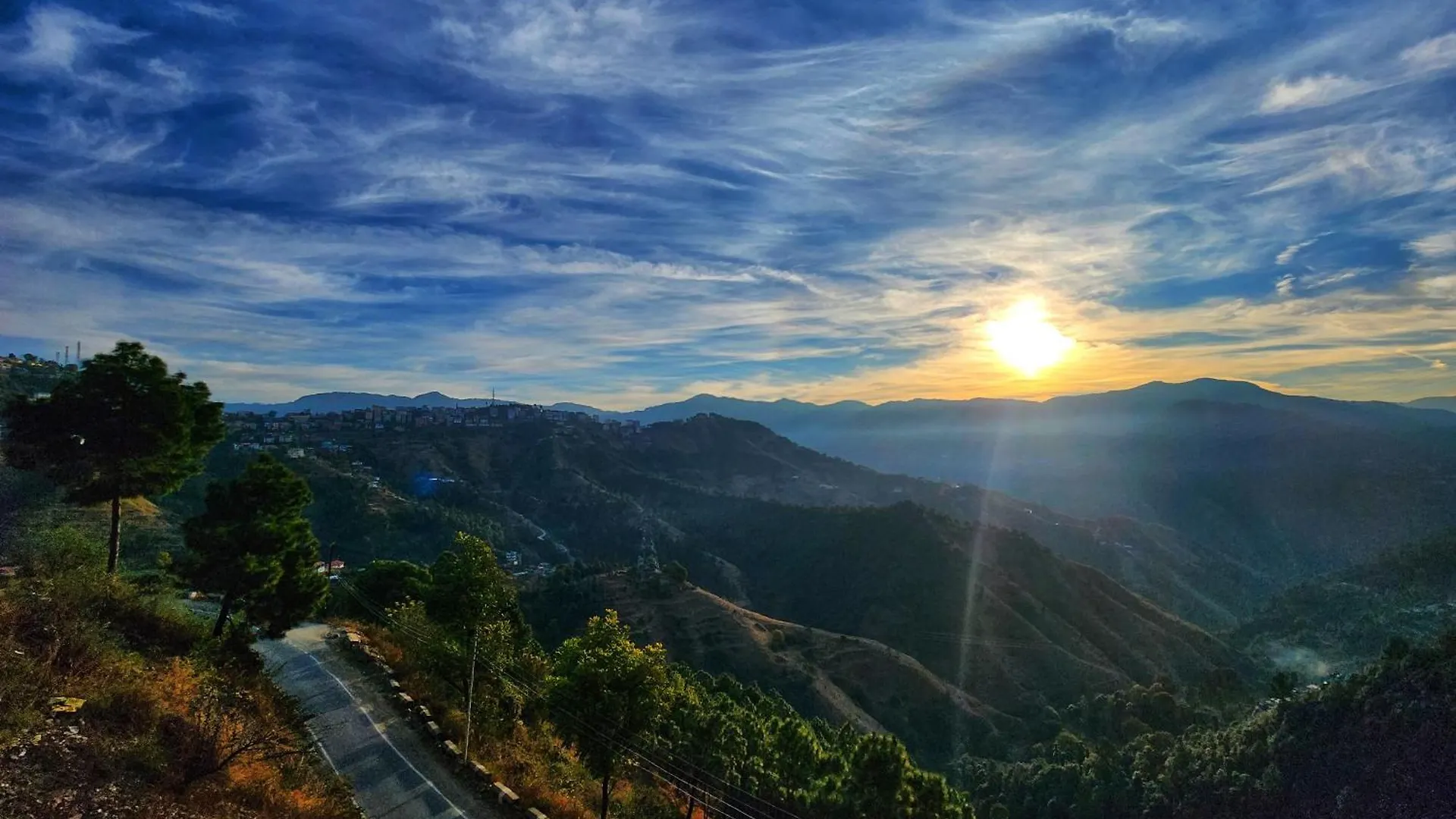 Royal Cedar Bnb Simla Shimla