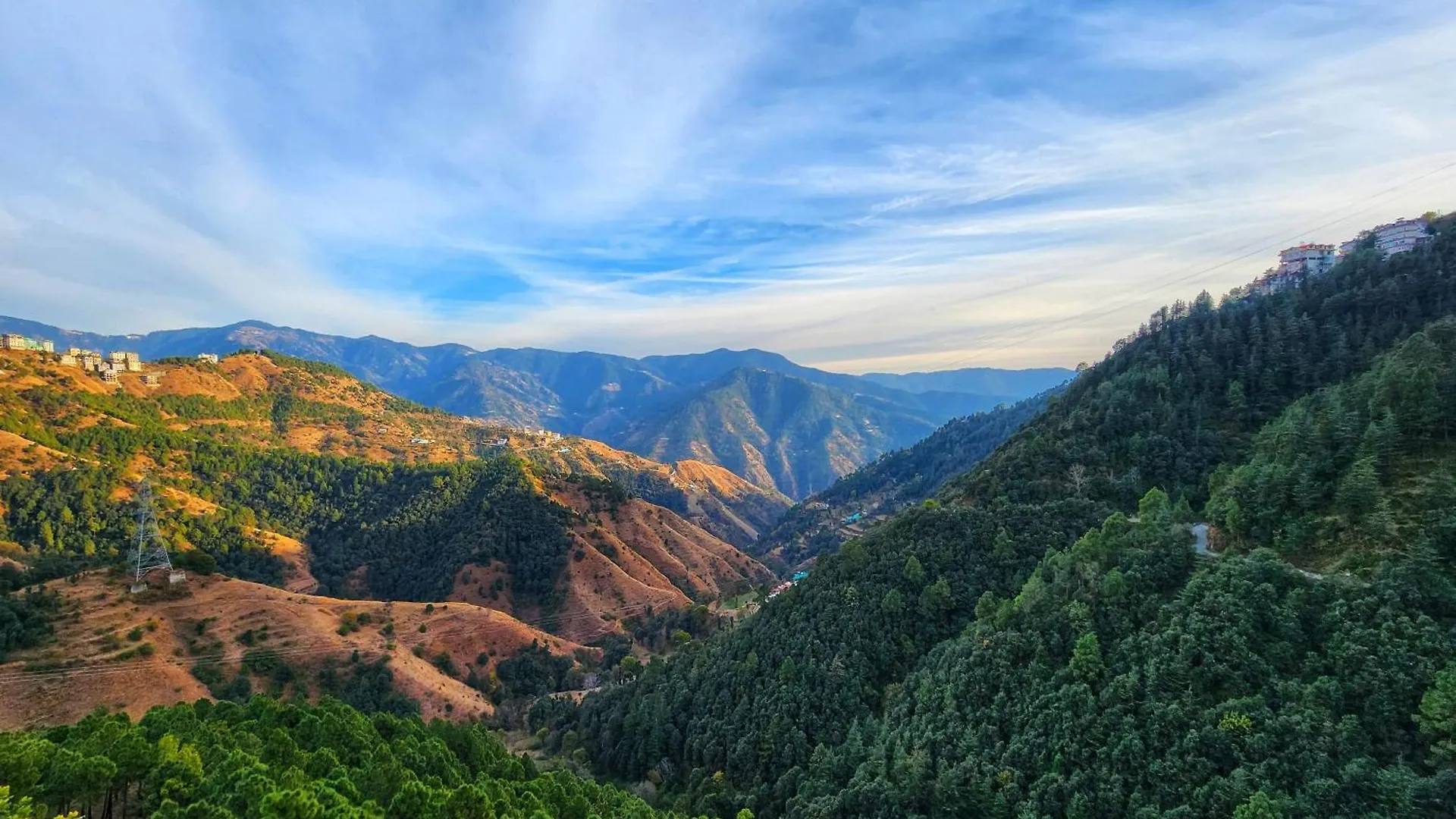 Homestay Royal Cedar Bnb Simla
